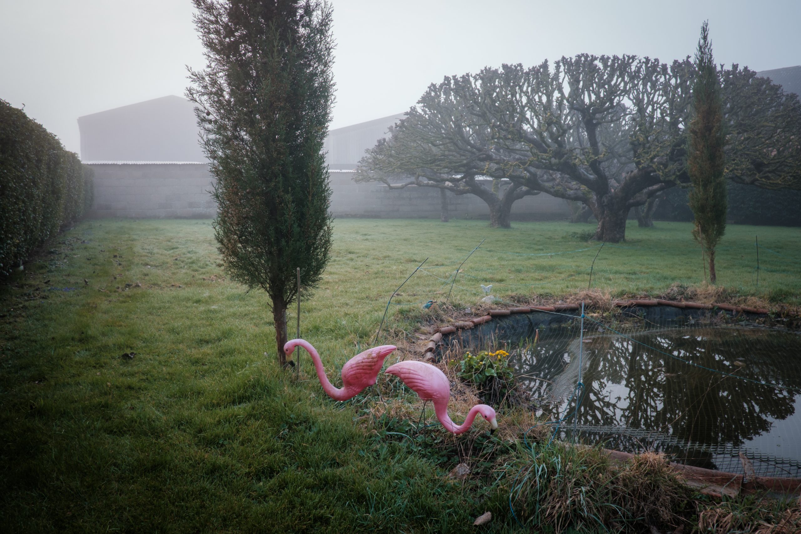Keith Mason